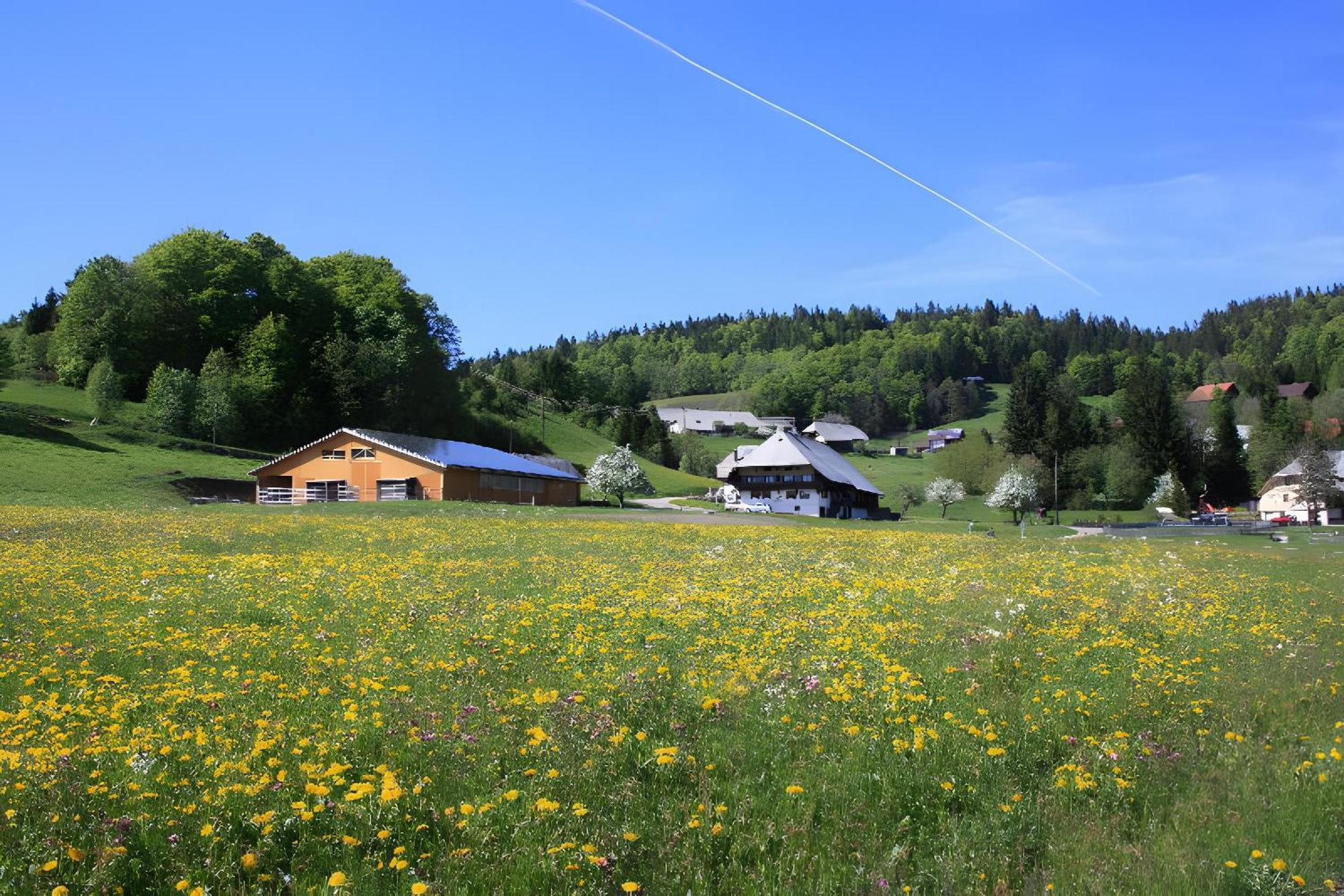 Buerschtehanse-Hof Ibach Exteriér fotografie